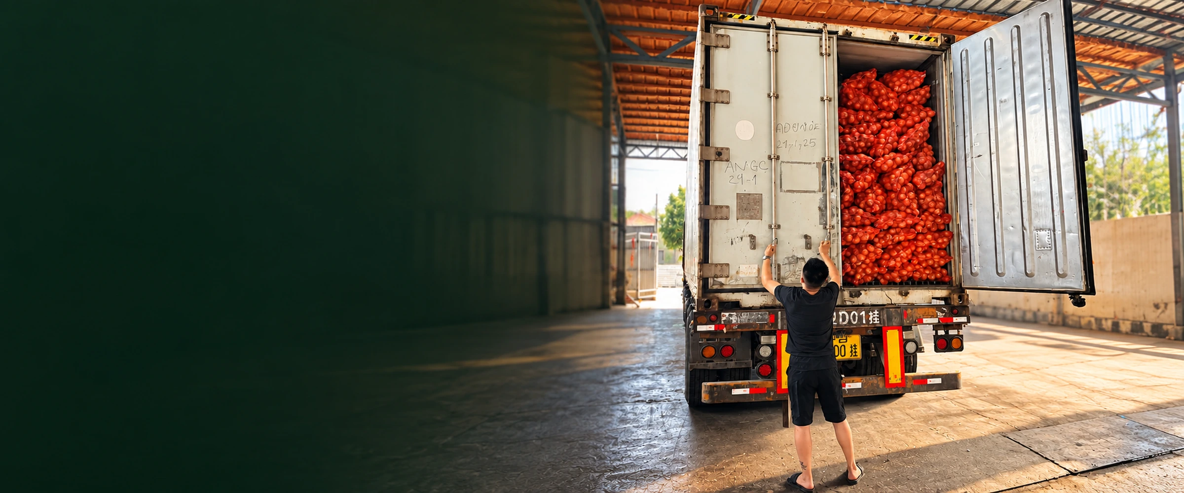 Produce packing and dispatch scene