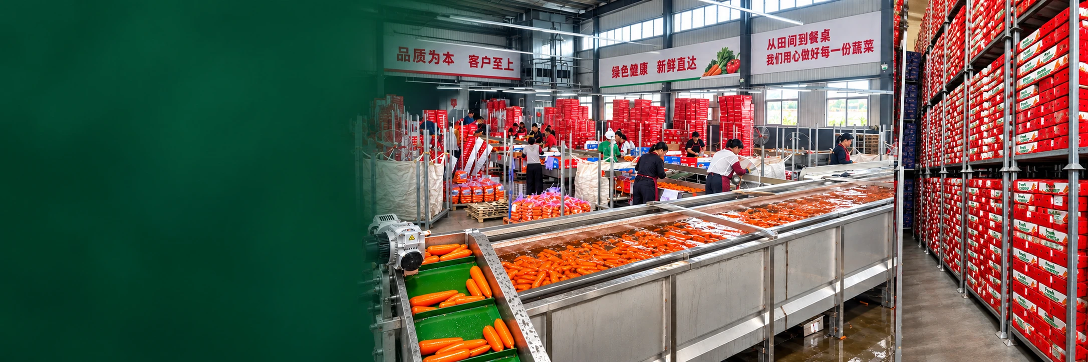 Produce processing and cold storage in the supplied banner design