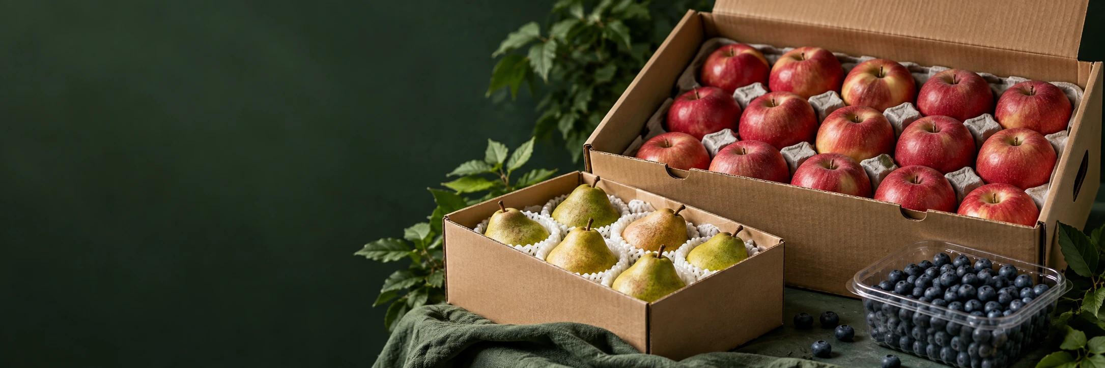 Conceptual produce packing with cartons, protective trays and fruit punnets