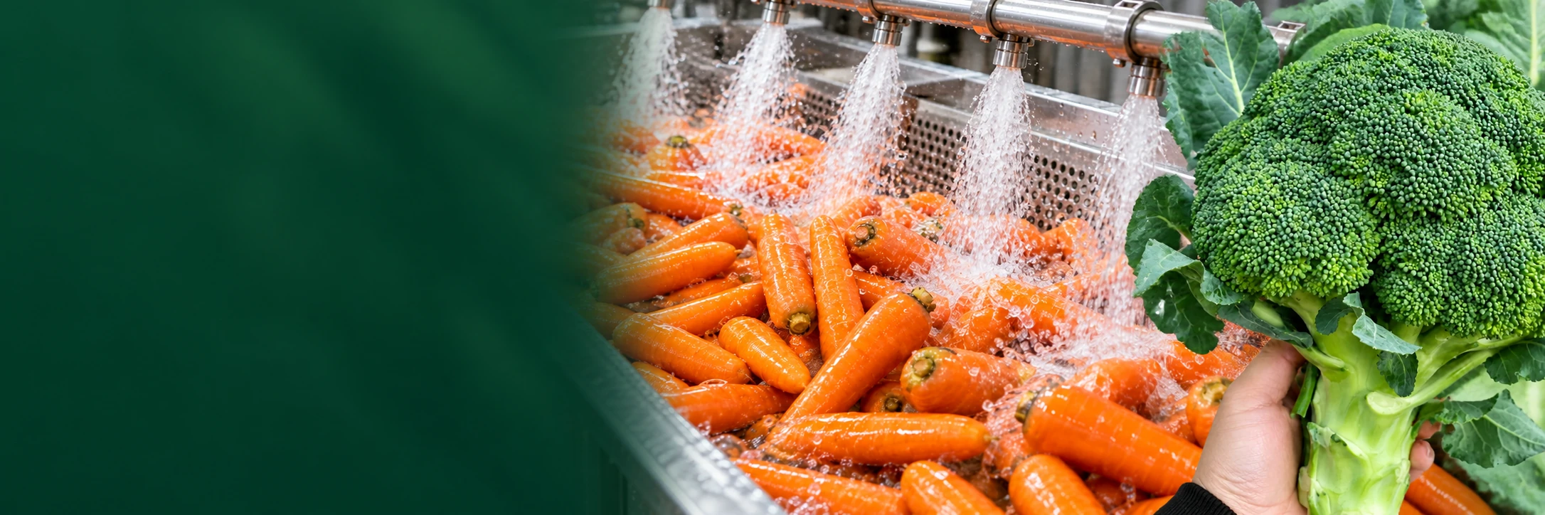 Produce washing and broccoli in the supplied quality banner