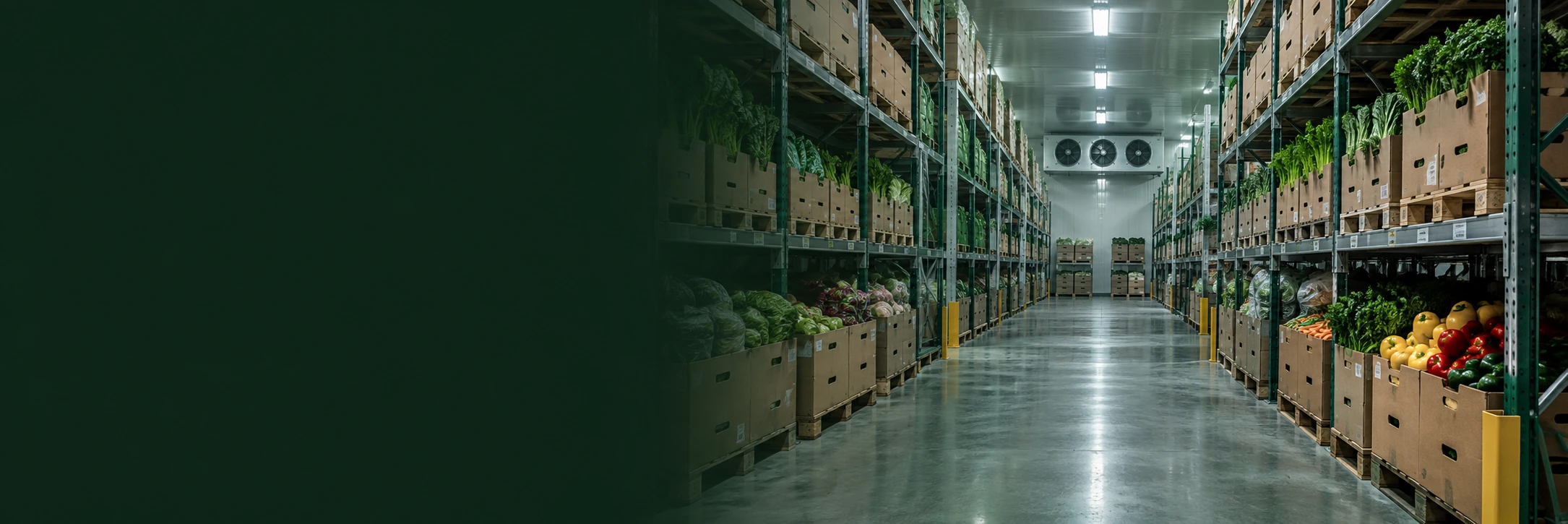 Conceptual refrigerated warehouse with produce racks