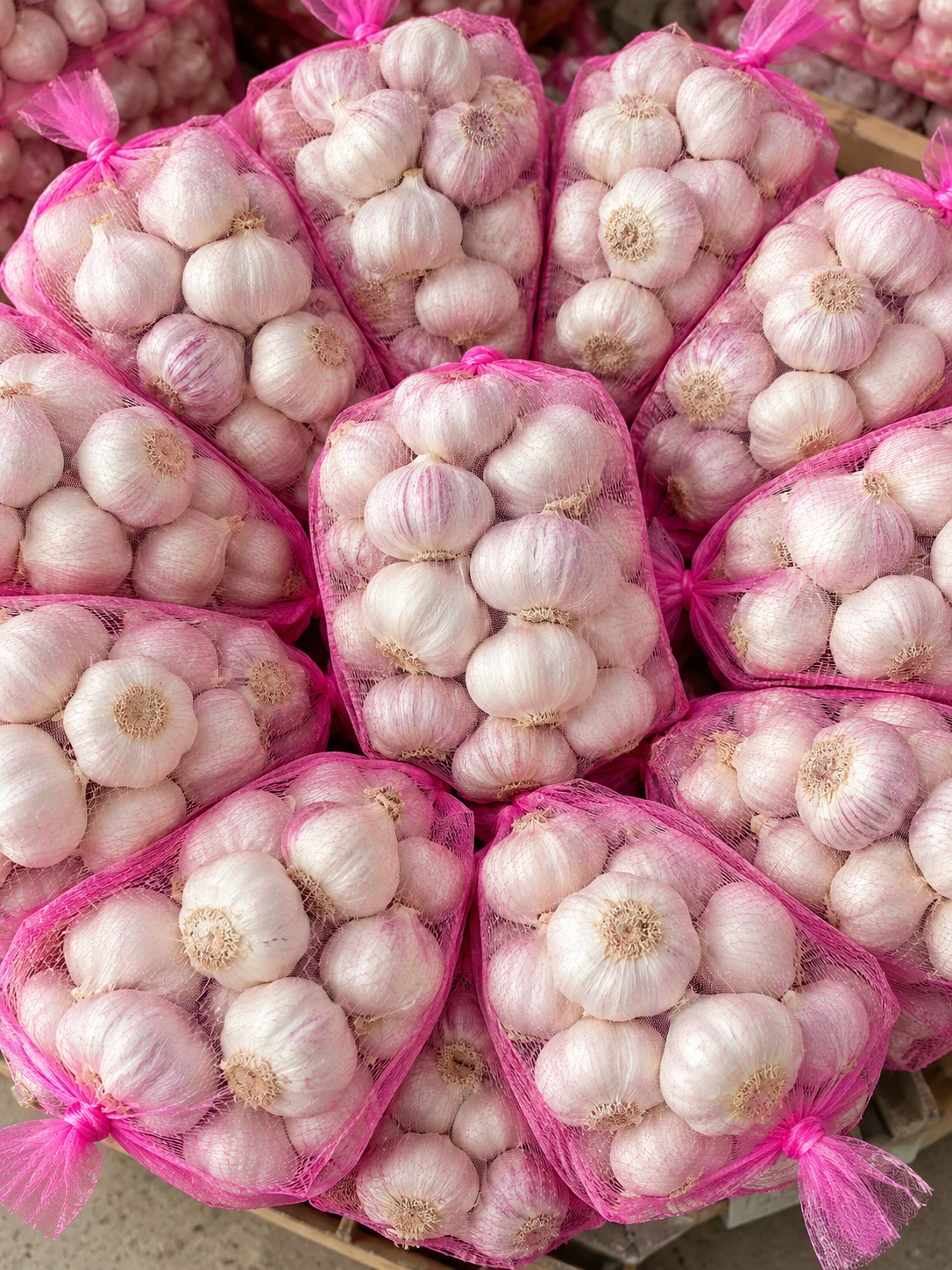 Company-supplied retouched garlic photograph