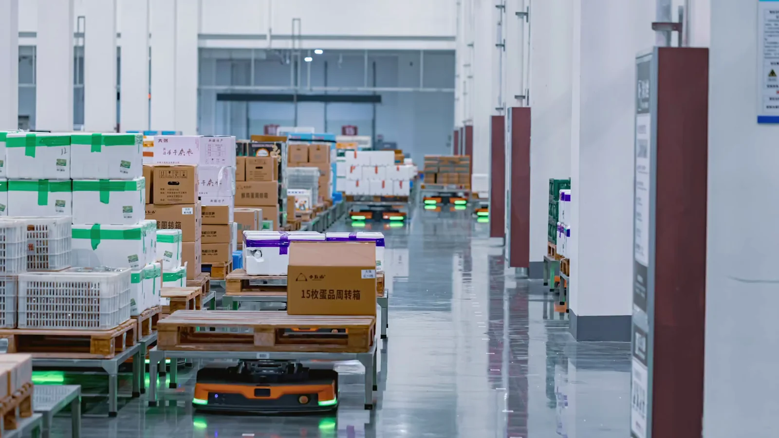 Automated pallet handling at the DA NO-supported cold-chain facility