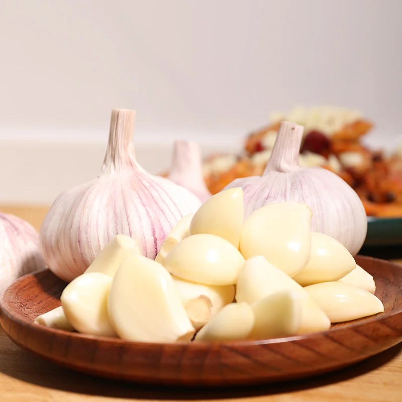 Garlic