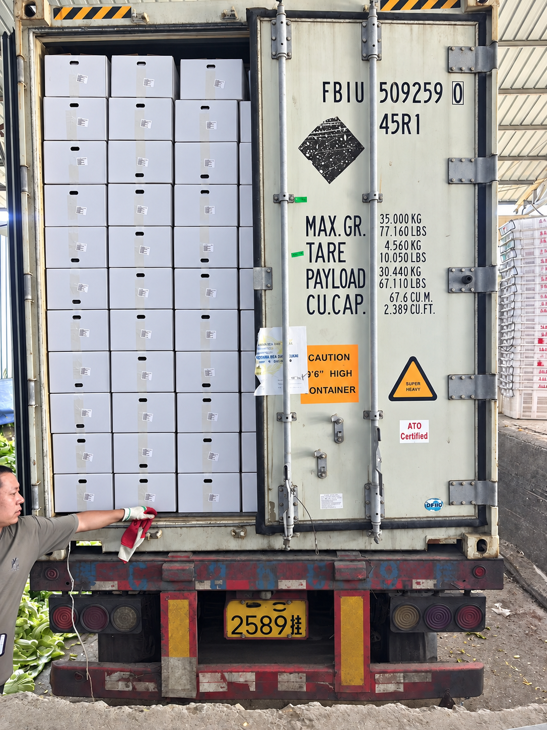White cartons stacked in even rows inside a shipping container
