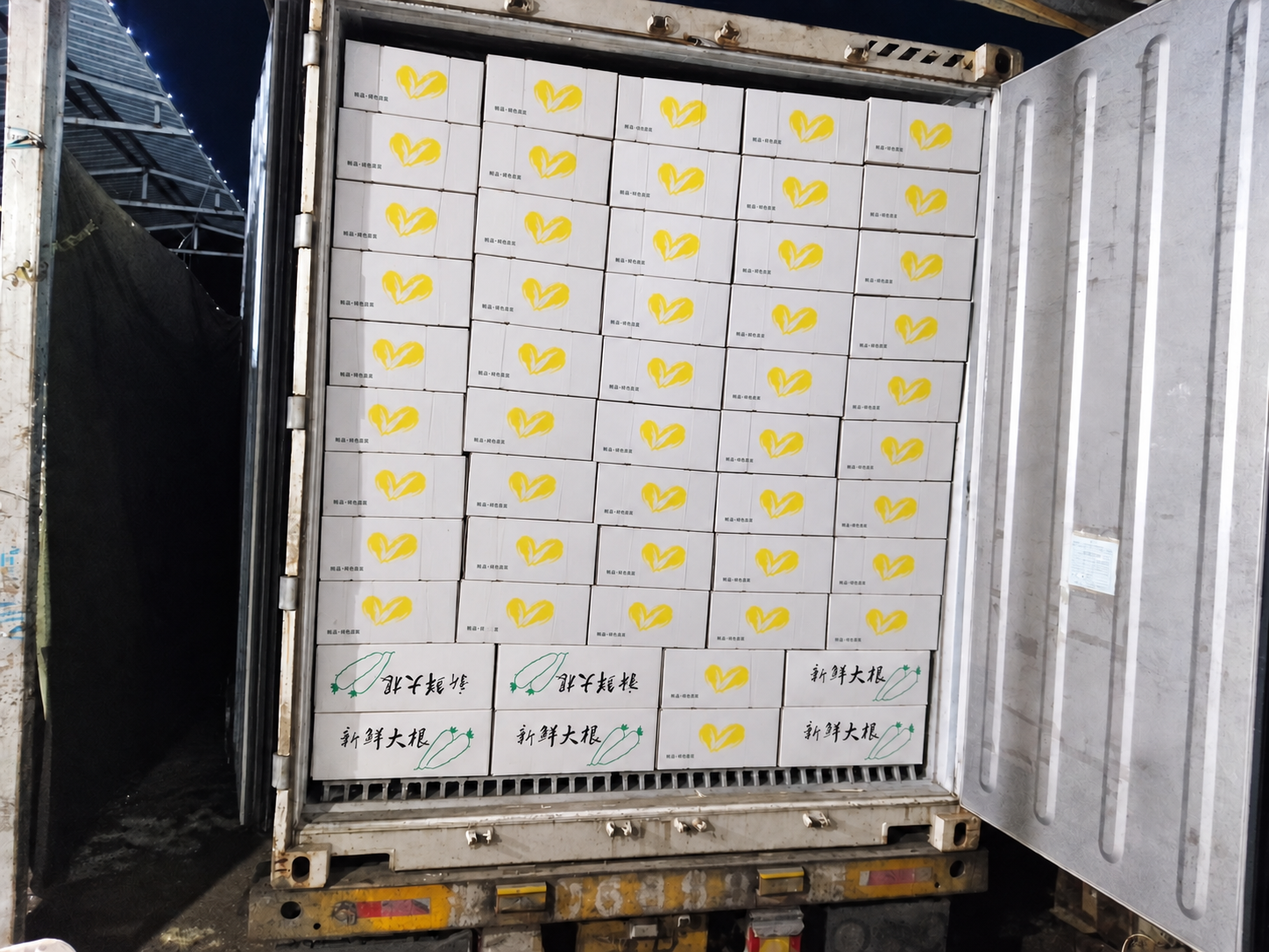 Produce cartons packed in orderly rows for shipment