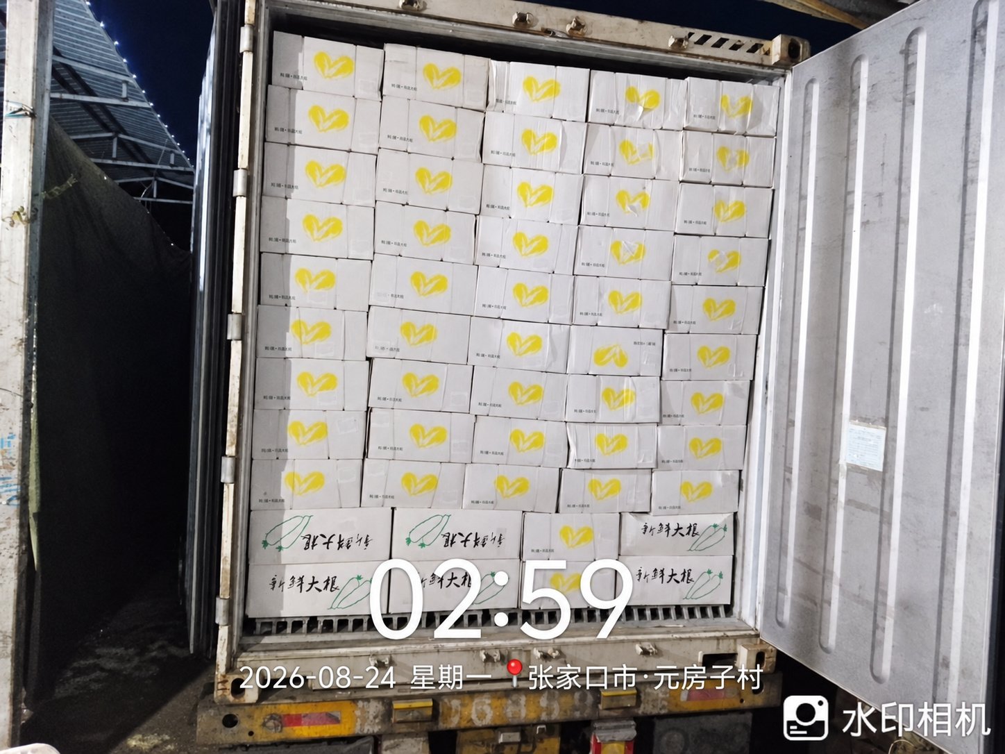 Retouched supplied photograph of produce cartons stacked inside a shipping container