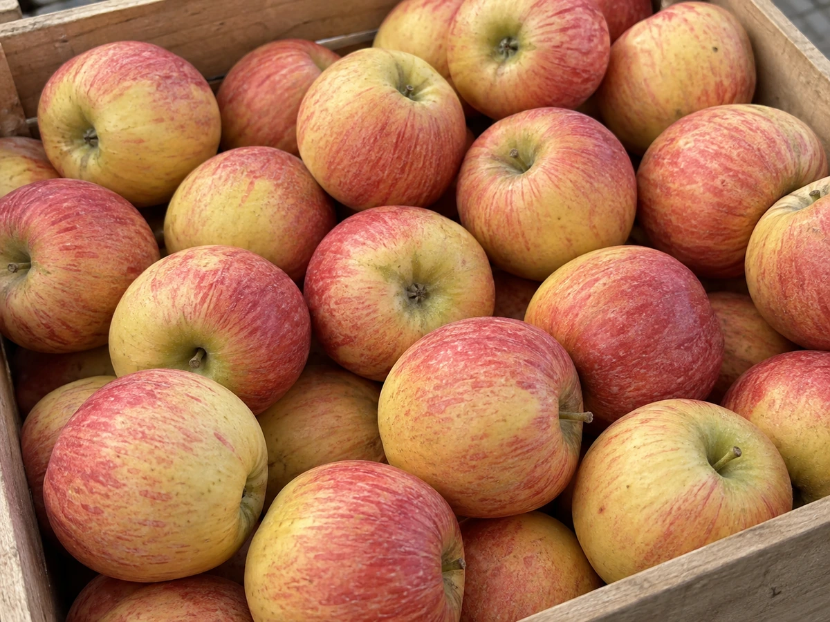 Early-season apples