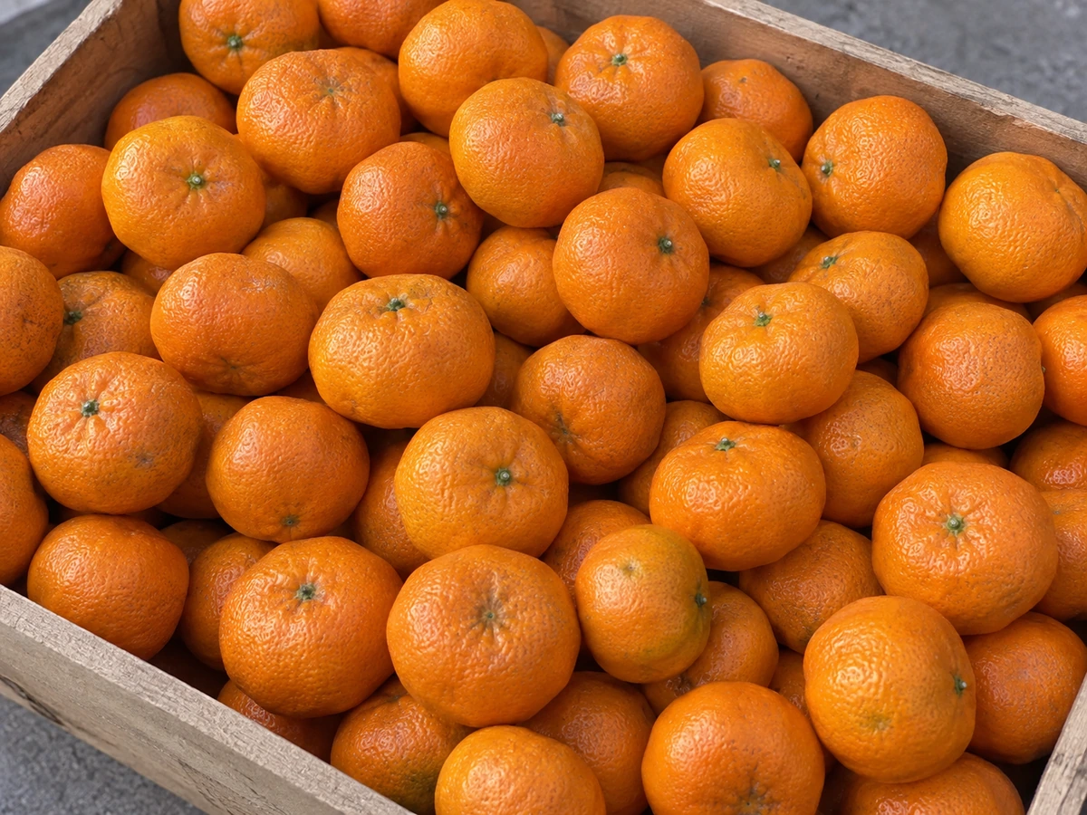 Shatang mandarins