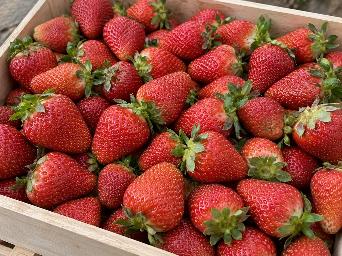 Strawberries
