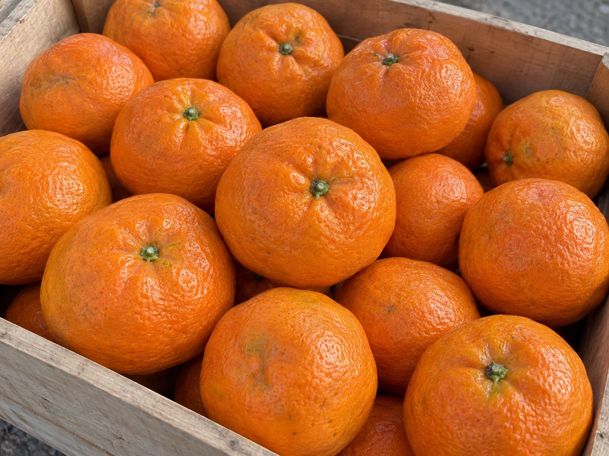 Wokan mandarins
